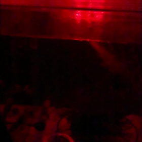 良く泳ぐなぁ～の画像