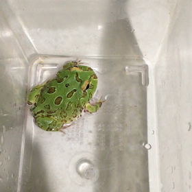 毎日天気悪いなぁの画像