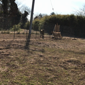 レーン効果の画像