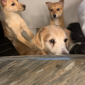 オヤツの時間…ラブ&ピースの画像