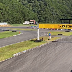 レース動画の画像