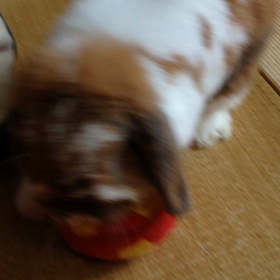 りんのボールあそび  2の画像