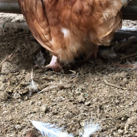 テレビ取材の画像