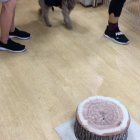 ステイホームでみっちりお稽古してた？の画像