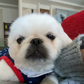 ある日のお昼寝の様子の画像