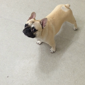 ♪プレイルーム動画♪①の画像