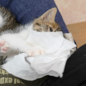 #先生びっくり‼️の画像