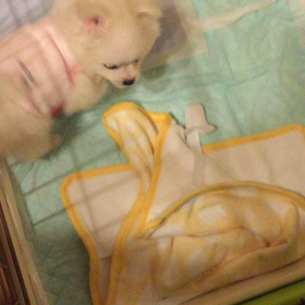 食べるより…の画像