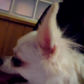 検査結果待ちの画像