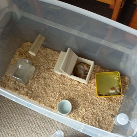 ポーチタさん。の画像