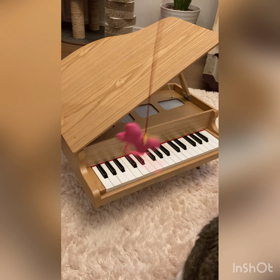 頭で弾きましたの画像