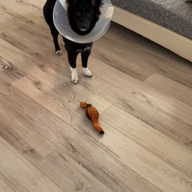 ストレス中の画像