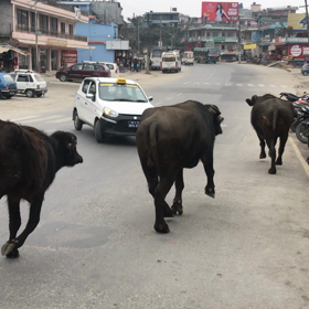 ポカラの風景①の画像