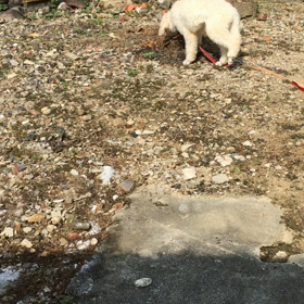 実家の横の空き地で〜の画像
