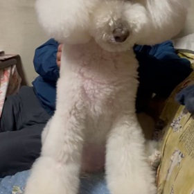 うっとり(*☻-☻*)の画像