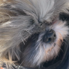 ゴシップ　第1話から9話の画像