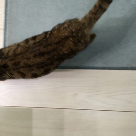 投薬 2日目の画像