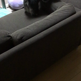 痛くないの？？の画像