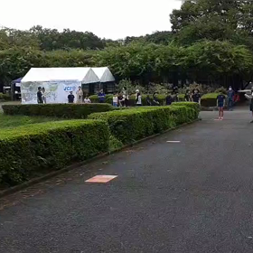 リレー選考会　スタート付近⑦の画像