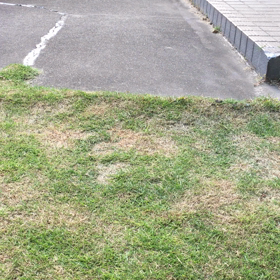 連日の大雨の画像