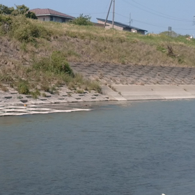 川原で水きり遊びの画像