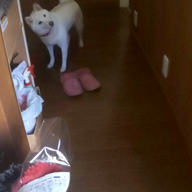 年末、男の子帰宅‼️の画像