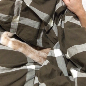 寒い朝暖房つけました、おはようございます。の画像