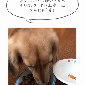 アキレス腱断裂322日目の画像