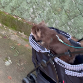 煽ってるねぇ〜笑笑の画像