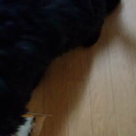 お腹がすいたのダンスの画像