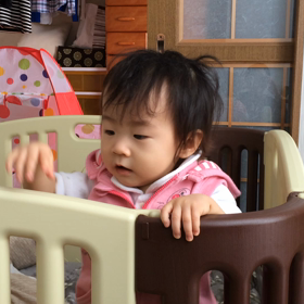 16〜17か月の近況21の画像