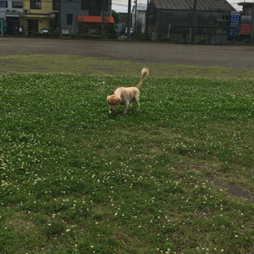 今日のレオの画像