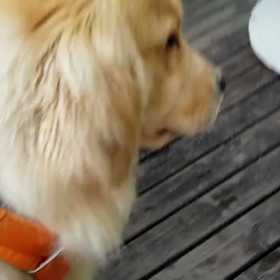 こんどはLEEKの店長で来てね❗の画像