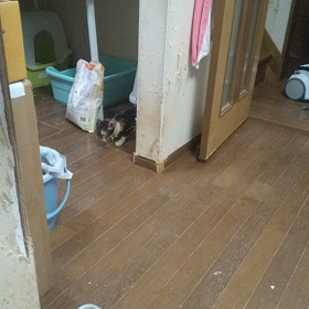 いつも思う事ですが。の画像