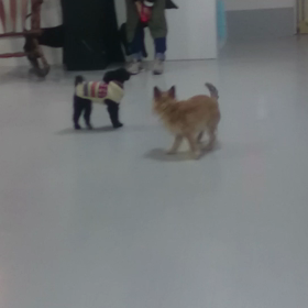 クマオとの画像