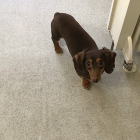 ♪プレイルーム動画♪の画像