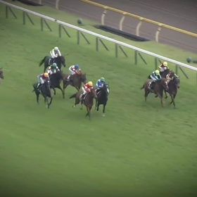 勝負の来週末の画像