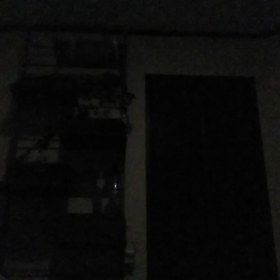 猫ズに挟まれての画像