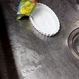 (≧∇≦)の画像