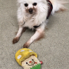 ♪プレイルーム動画♪①の画像