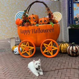 ハウステンボス1日目の画像