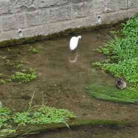 試験というものが苦手なもんで…の画像