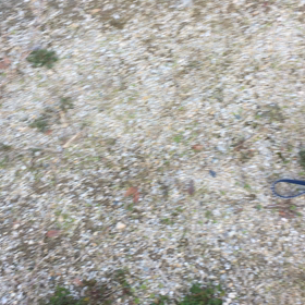 ボール遊び‥(^_^;)の画像