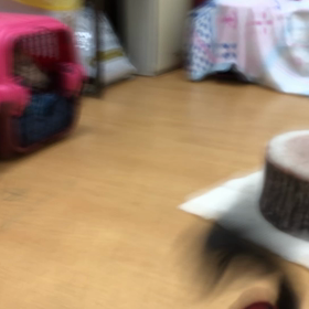 ひめる編。の画像