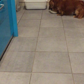 動画三本の画像