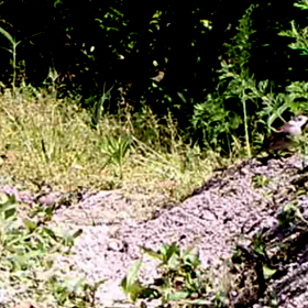 すぎぴたんの事件簿シーズン２　１９話の画像