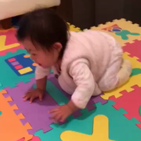 ハイハイの画像