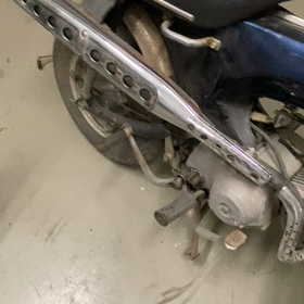 ダックス‼️の画像