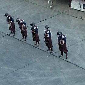 種子島③の画像