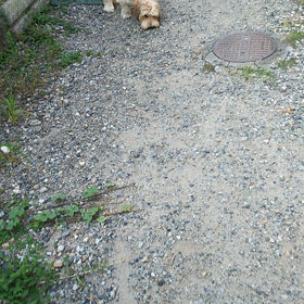 逆ギレですか(⊙ө⊙)の画像